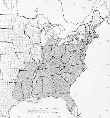 The native range map of black tupelo.