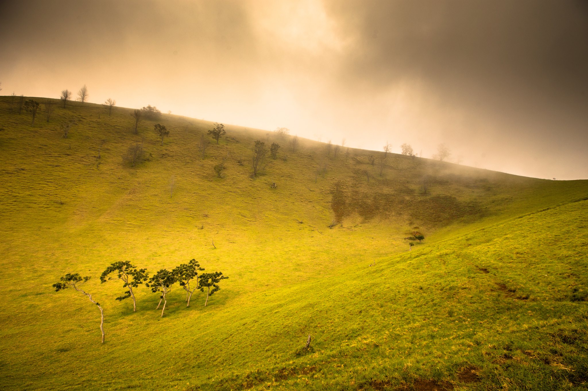 photo of green hill and mist
