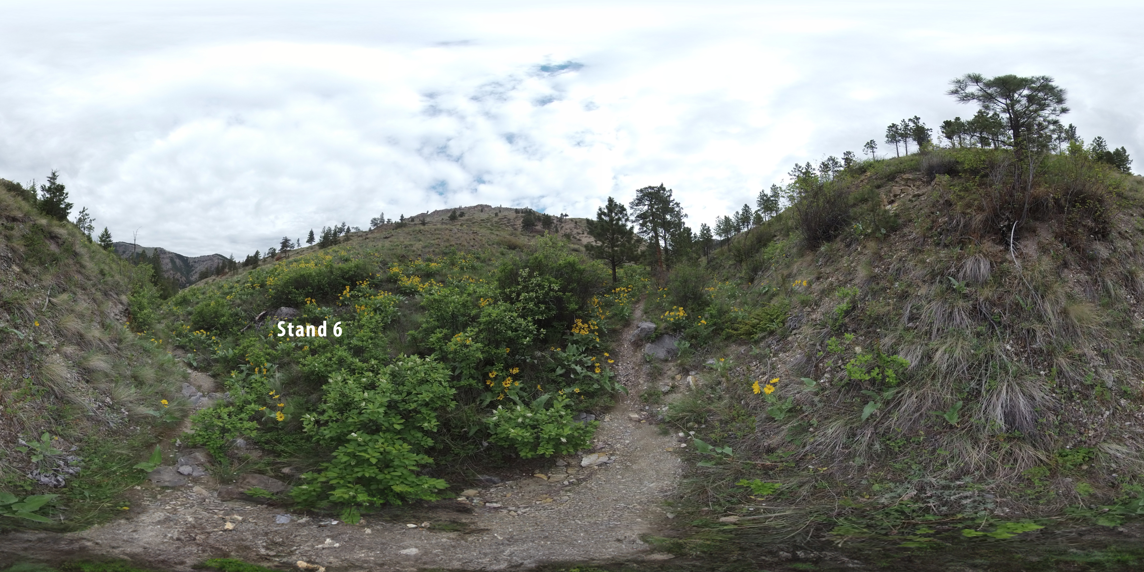 Mann Gulch, Staff Ride Stand 6 location