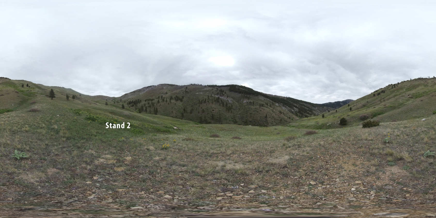 Mann Gulch: Staff Ride Stand 2 location