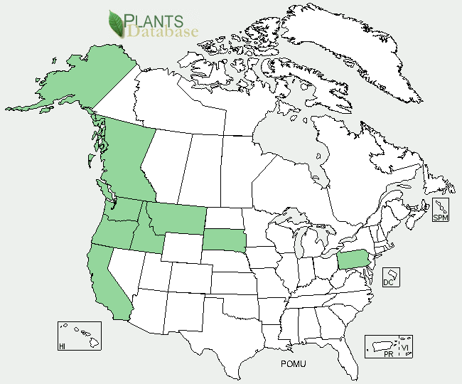 Map of the United States and Canada showing the distribution of western swordfern, predominantly in the Pacific Northwest.