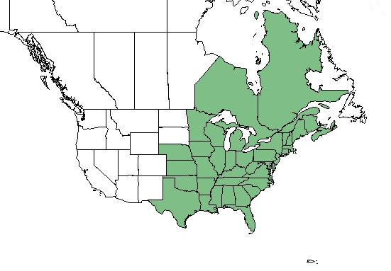A map of the U.S. and Canada, with states and territories highlighted in green where common serviceberry occurs. The eastern half of the U.S. and Canada are highlighted.