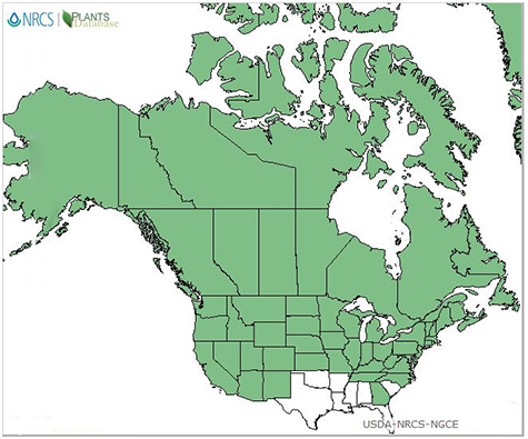 A map of U.S. states and Canadian provinces with all states and provinces highlighted green except AL, FL, LA, MS, OK, SC, and TX.