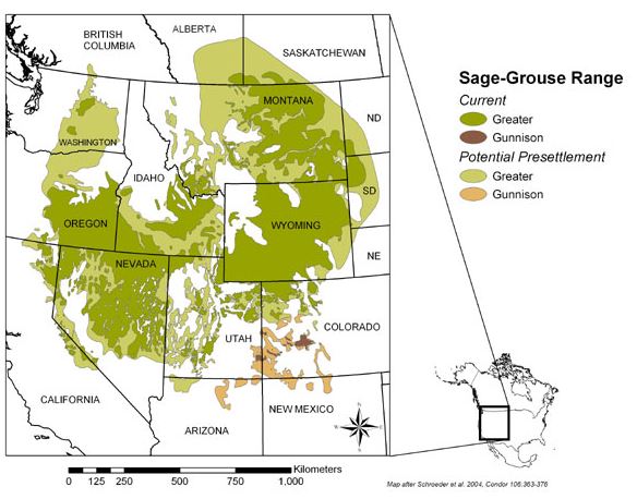 Map of greater sage-grouse (shades of green) and Gunnison sage-grouse (shades of brown) potential presettlement and current (as of 2016) distributions in North America. 