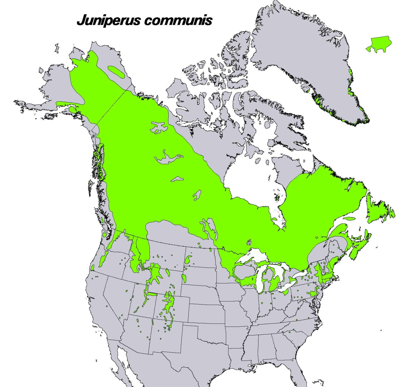 Photo of map distribution of common juniper in North America.
