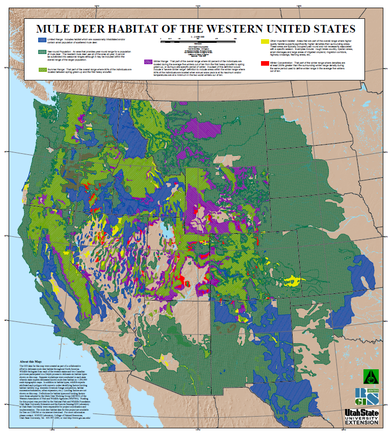 Mule deer habitat in the western United States. Blue indicates areas that are occassionally inhabitats and/or contain small populations of mule deer. Dark green indicates year-round populations. Light green indicates summer range. Purple indicates winter range. Yellow indicates other important habitats. Red indicates winter concentrations.