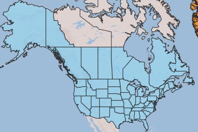 Distribution map of common sheep sorrel.