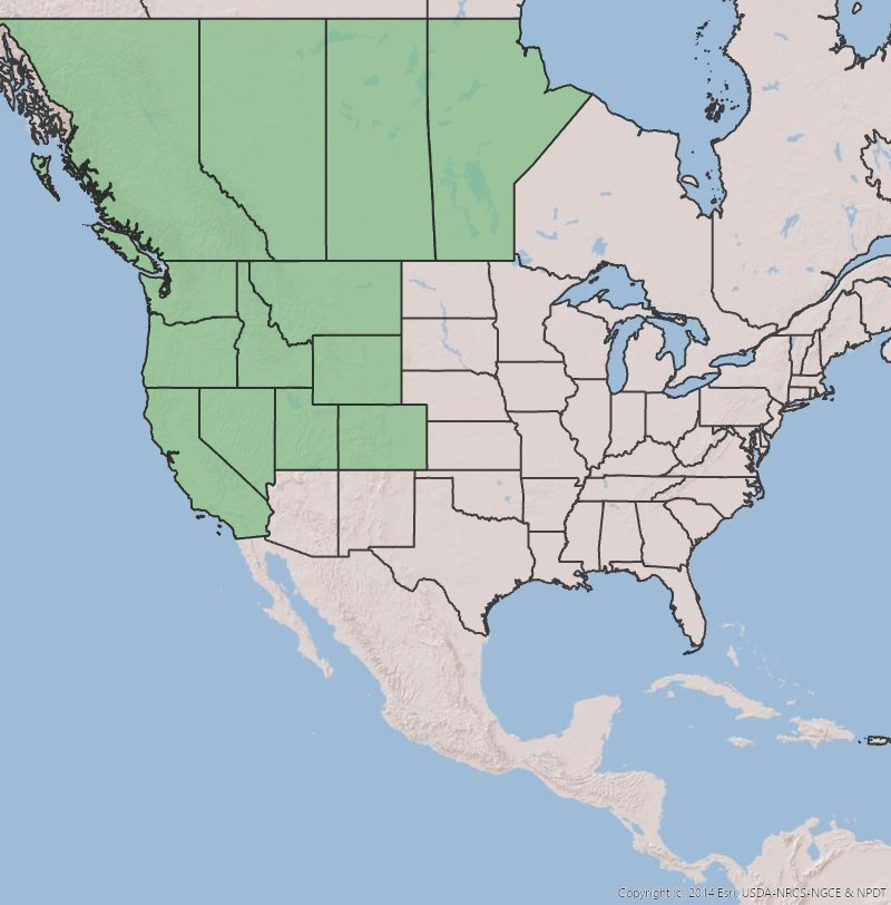 A map of U.S. states and Canadian provinces, with many western states and provinces highlighted green.