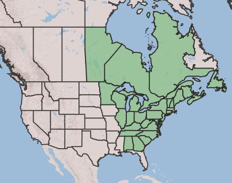 Photo of map distribution of eastern teaberry in Canada and United States.