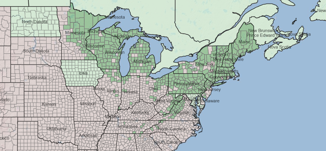 Photo of map distribution of northern bush honeysuckle.