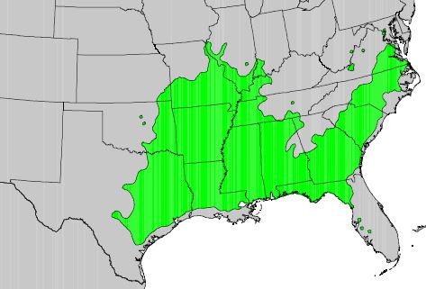 A map of the southeastern U.S., with most of the southeast highlighted in green where possumhaw occurs.