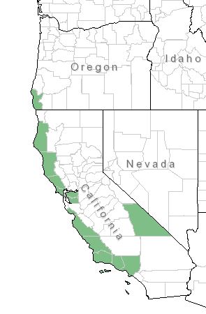 A map of California and Oregon, with counties highlighted in green where Bishop pine occurs. Counties along the California and southern Oregon coasts are highlighted, along with one county in interior California.