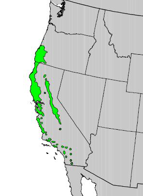 A map of the western U.S. with areas highlighted in southwest Oregon and scattered through California where California laurel occurs.