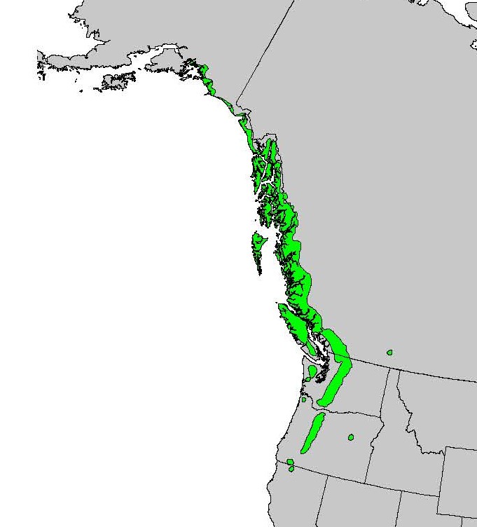 Map of northwestern North America showing the distribution of yellow-cedar from southeastern Alaska to northern California.