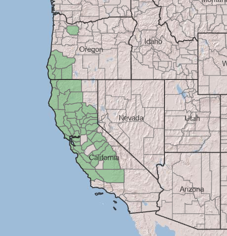 Photo of map distribution of California yerba santa.