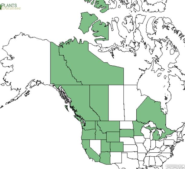 Vaccinium Thinleaf Huckleberry US Forest Service Feis Vacmem Map 