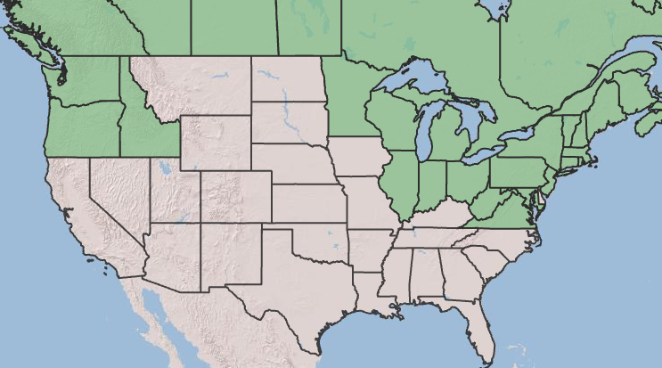 Photo of map distribution of small cranberry in North America.