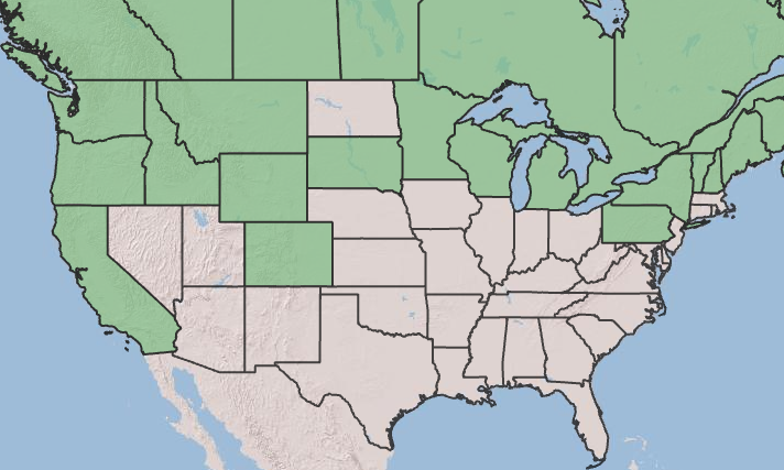 Map of the United States and southern Canada showing the distribution of squashberry.