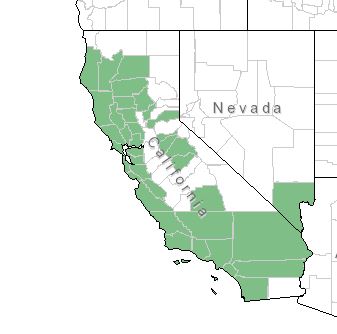 A map of California and Nevada with counties highlighted in green where chamise occurs. Many counties in California are highlighted, and just one in Nevada.