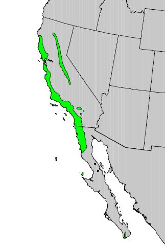 A map of the southwestern U.S. with areas in California and northern Mexico highlighted in green where toyon occurs.