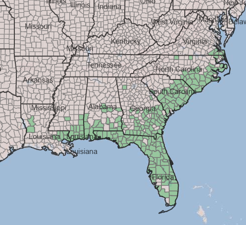 Photo of map distribution of fetterbush lyonia in the United States. 