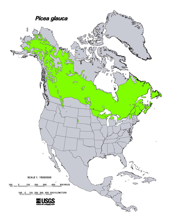 A map of the United States and Canada, with much of Canada, Alaska, and Maine highlighted green, with green highlighting extending into some other northern states.