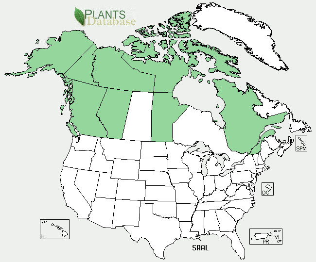 A map of the United States and Canada, with many Canadian provinces and Alaska highlighted green.