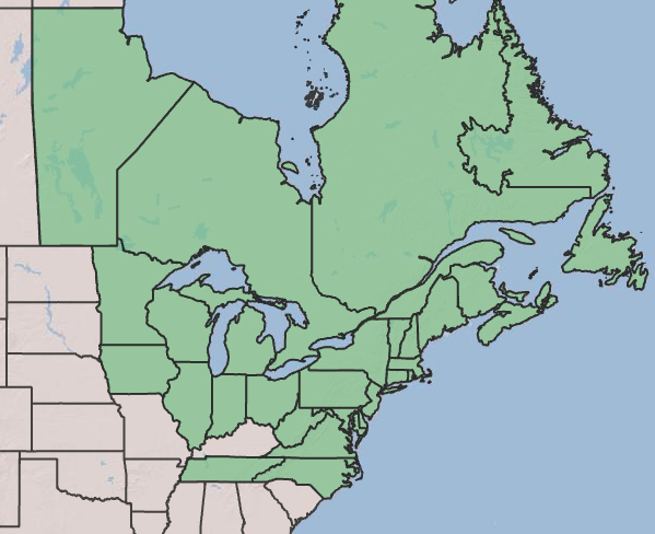 Photo of map distribution of lowbush blueberry.