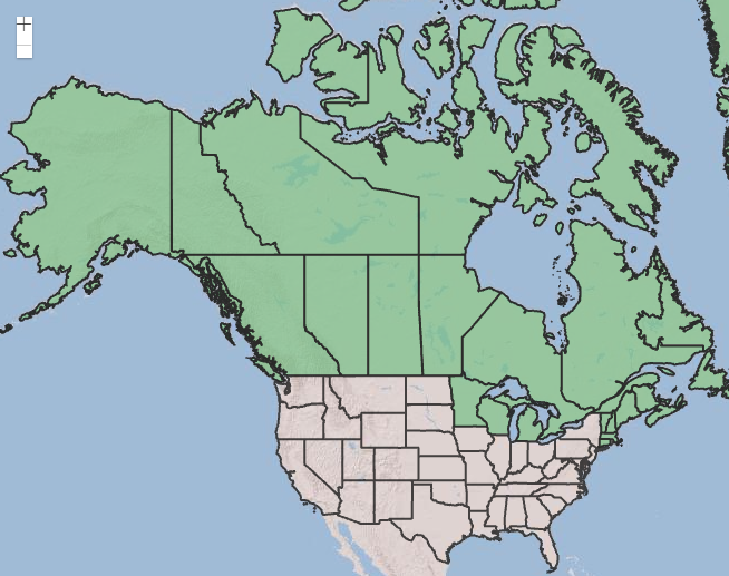 Photo of map distribution of lingonberry in North America.
